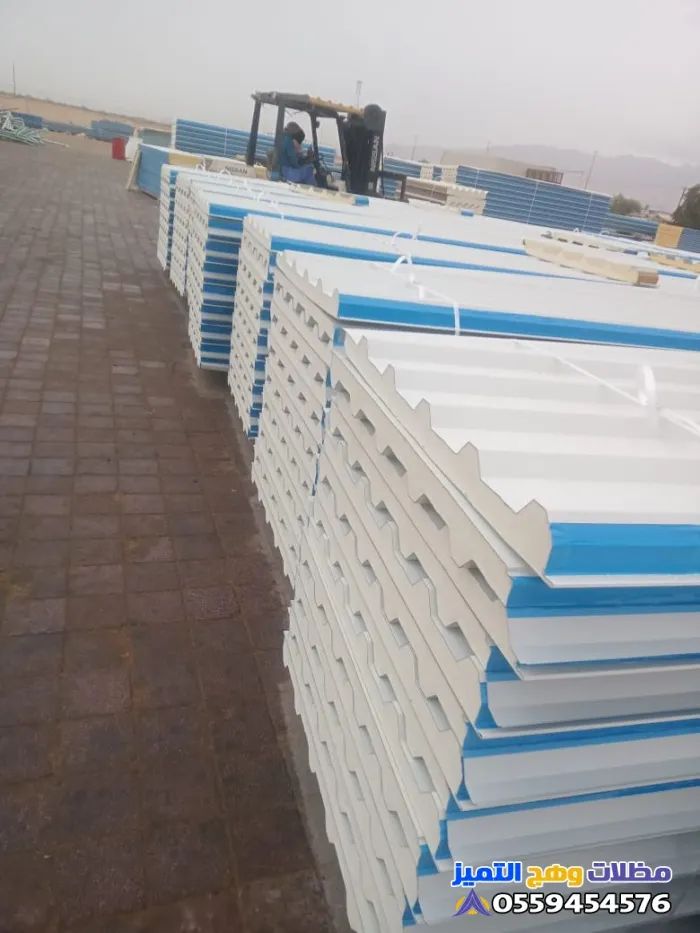 صورة المقال